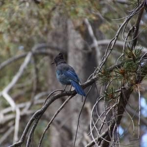 Meet your Posher, Becky